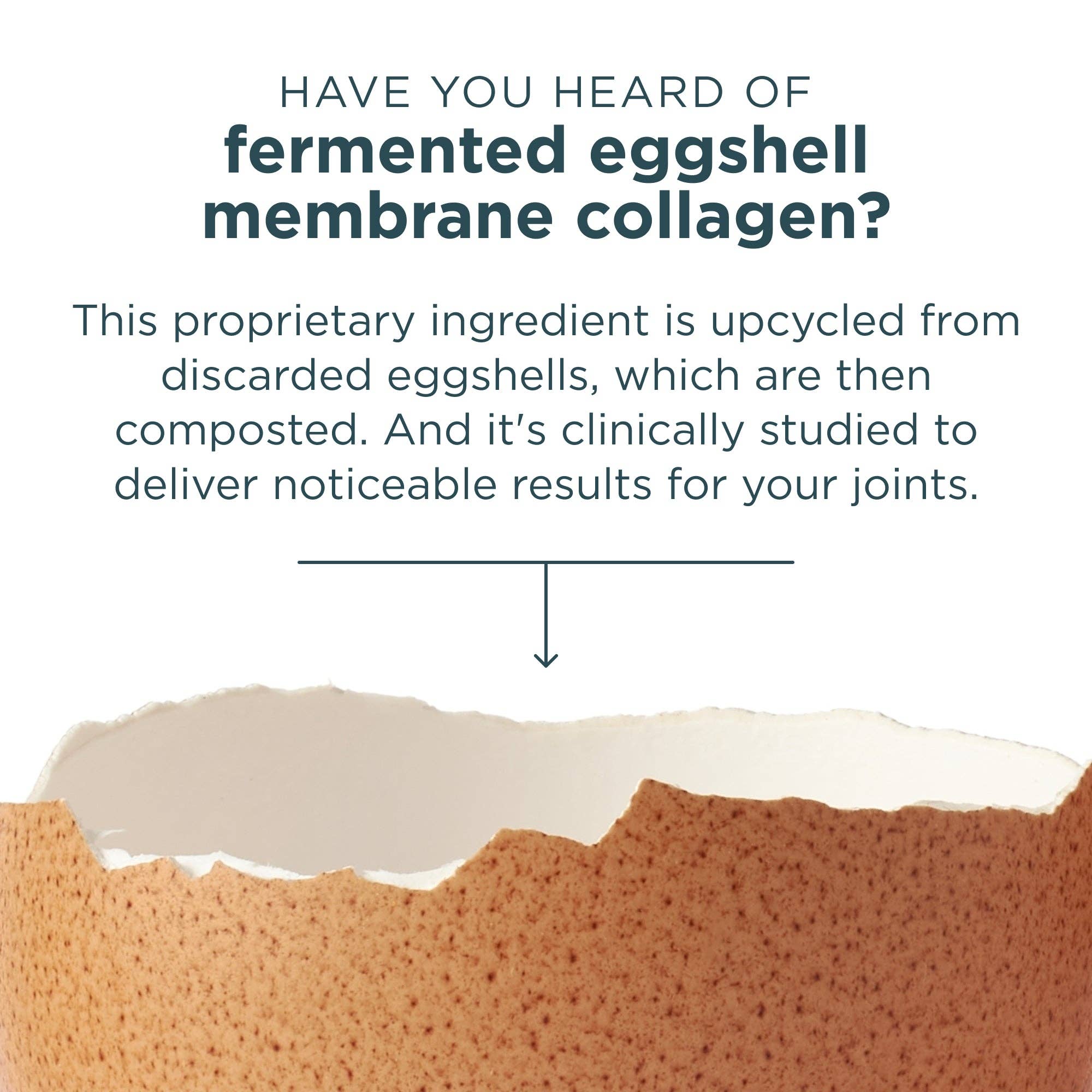 Multi Collagen Protein | Powder Unflavored (24 Servings)