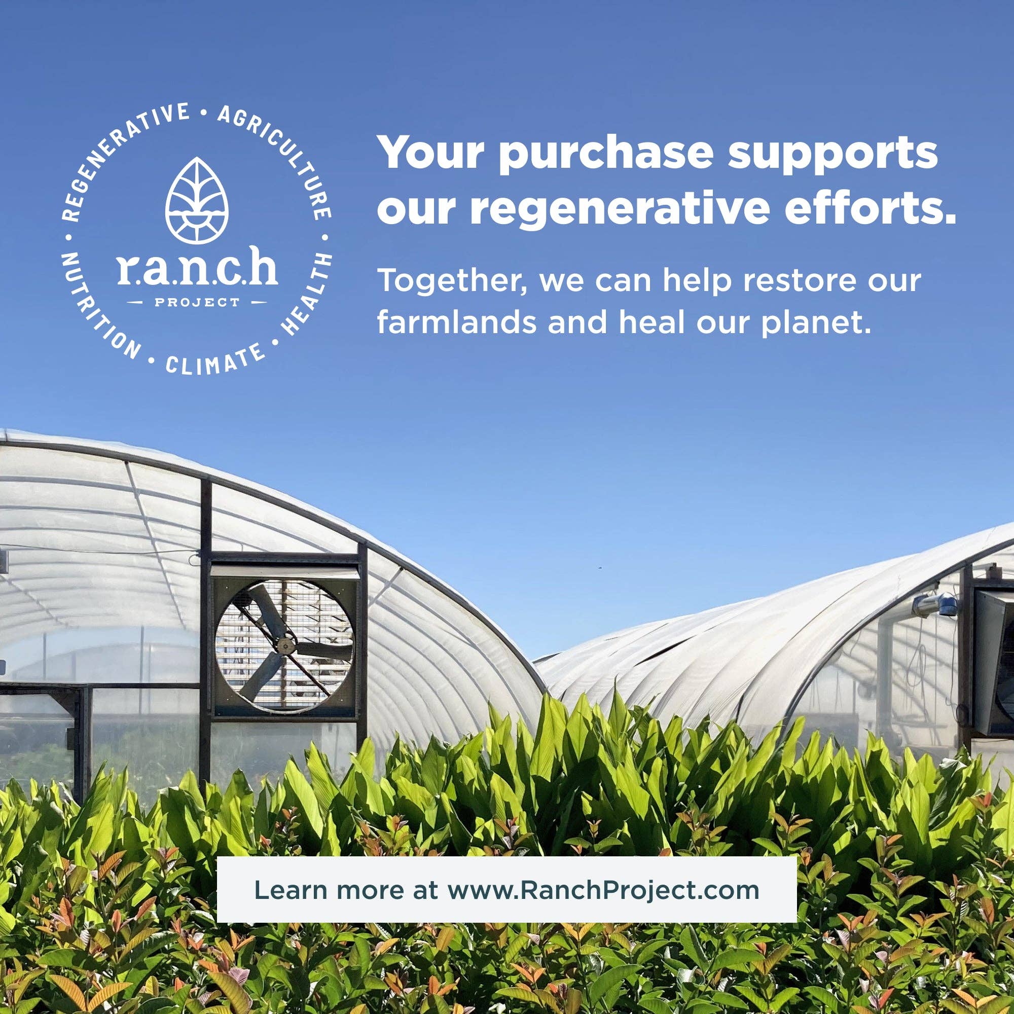 Multi Collagen Protein | Powder Unflavored (24 Servings)